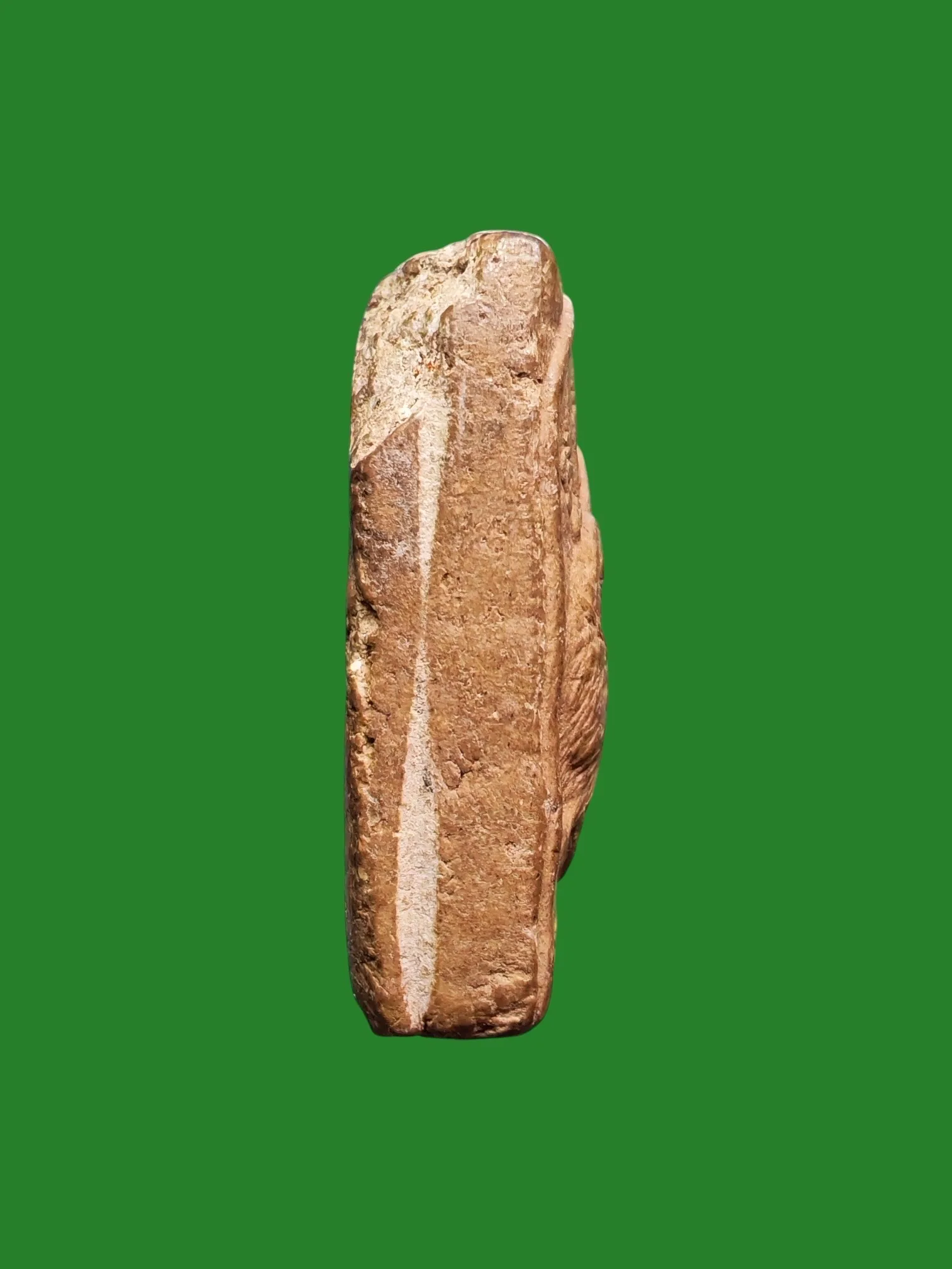 Pair Sarika Wan Amulet, Early Period B.E. 2536-2540 — Luang Pu Krishana, Wat Pa Maha Wan, Nakhon Ratchasima — รูปที่ 2