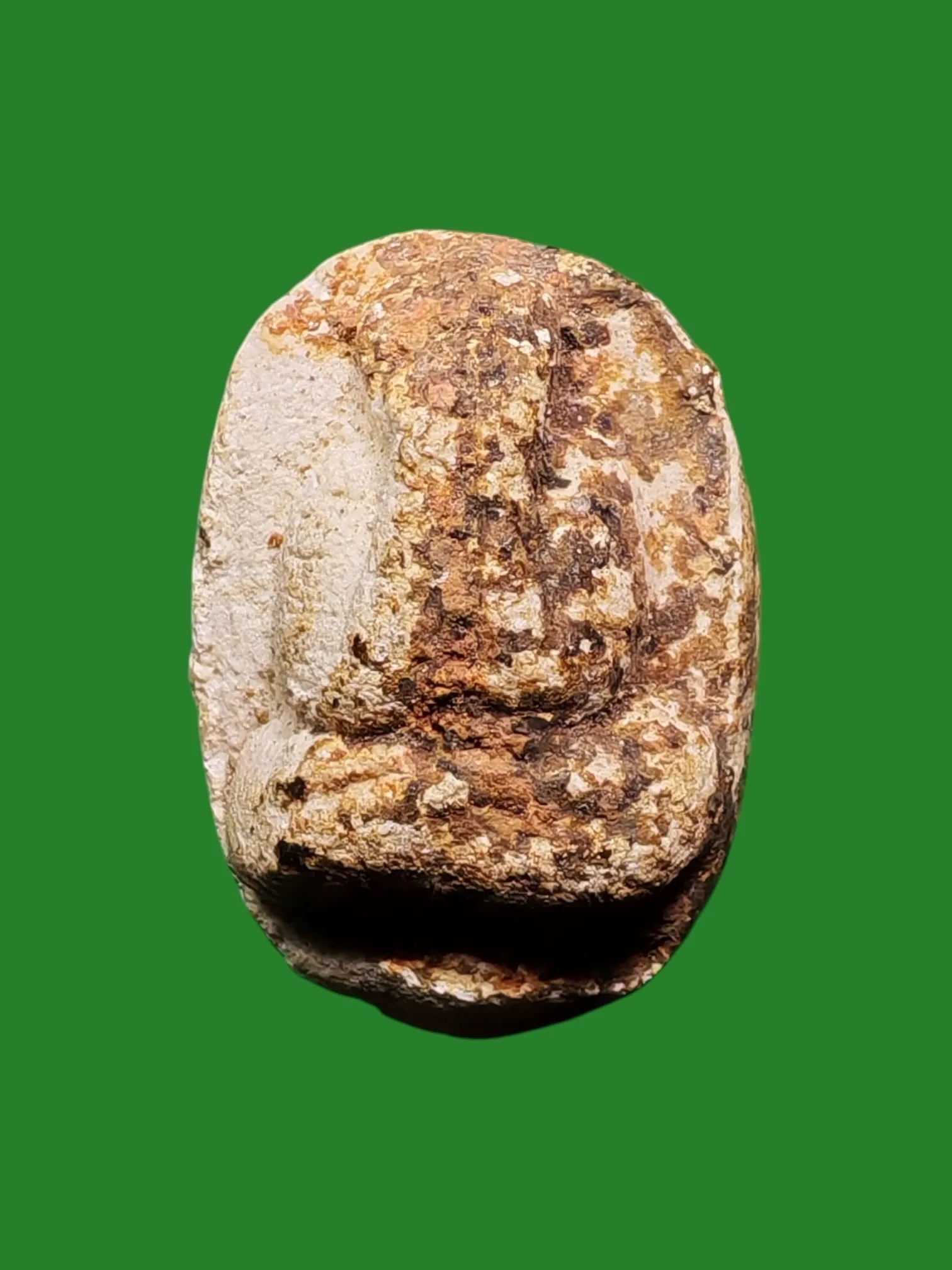 Phra Pid Taa Met Bua Powder Luang Pho Attama Wat Wang Vivegaram Kanchanaburi B.E. 2522