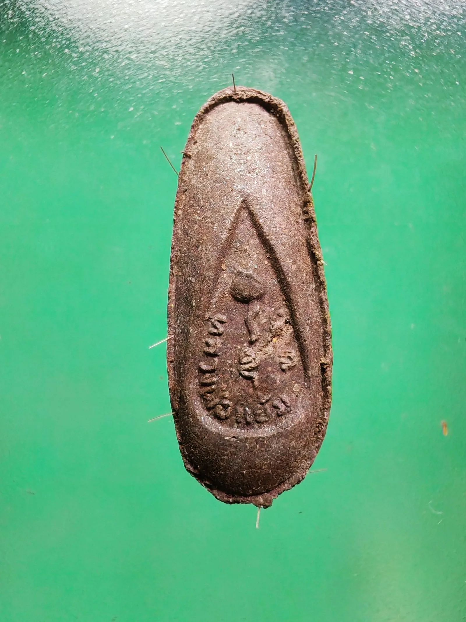 Phra Leela Thung Setthi Sacred Herbal Powder with Monk Hair Luang Pu Yaem Wat Sam Ngam B.E. 2543 — รูปที่ 4