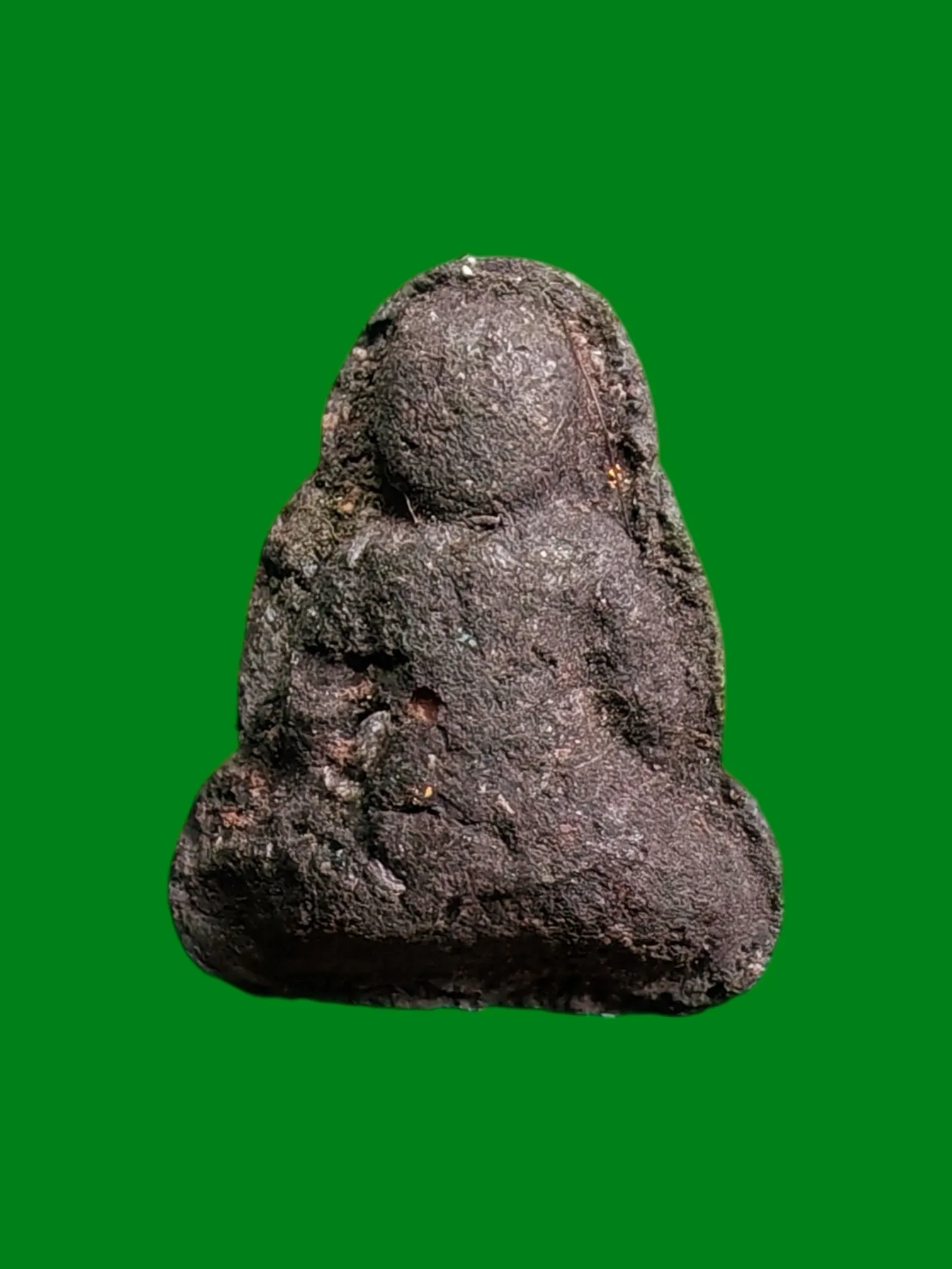 Luang Pho Tat Pidta Kimjo Herb Powder 2548 — รูปที่ 3